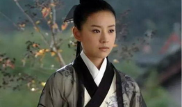 女扮男装电视剧,揭秘女扮男装电视剧的精彩世界