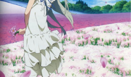 未闻花名动漫,青春记忆中的秘密花园